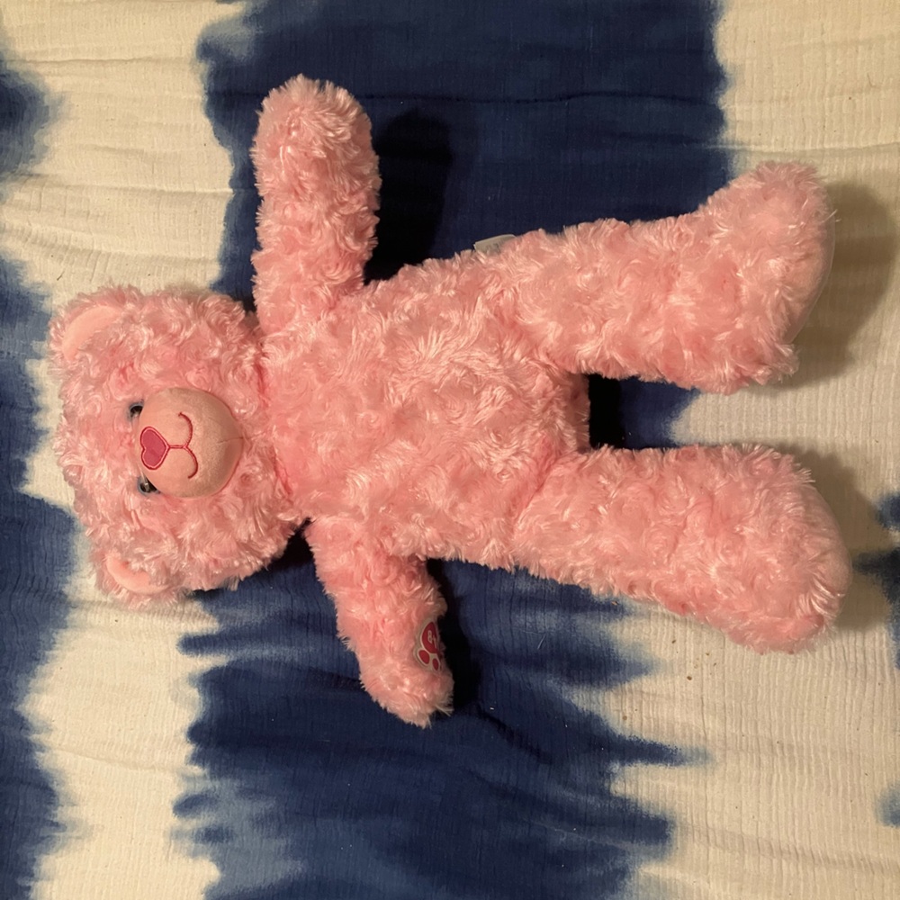 Brown and Pink BUILD A BEAR